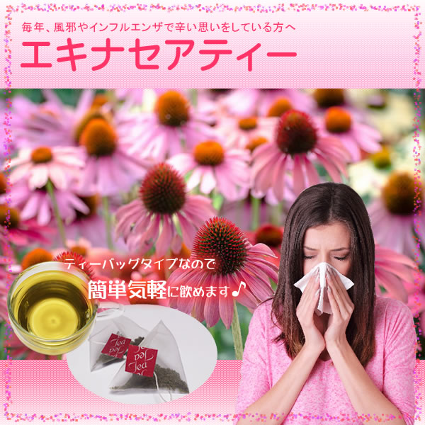 エキナセアティー｜美と健康のヴィーナース