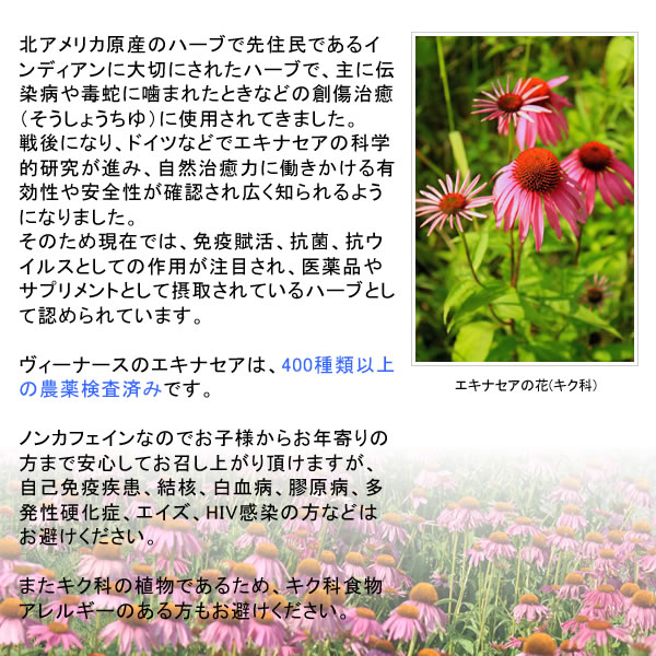 エキナセアティーについて｜美と健康のヴィーナース