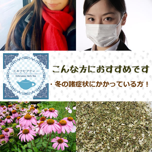 エキナセアティーはこのような方におすすめです｜美と健康のヴィーナース