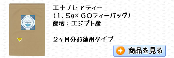 エキナセアティー60ティーバッグ｜美と健康のヴィーナース
