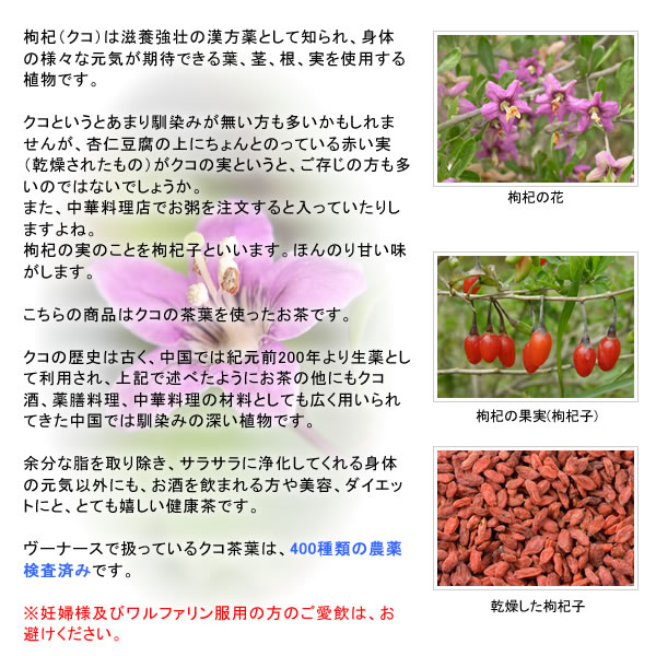 クコってなあに！？｜美と健康のヴィーナース