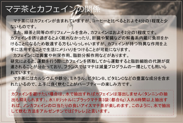マテ茶には元気の源のカフェインが含まれています｜美と健康のヴィーナース