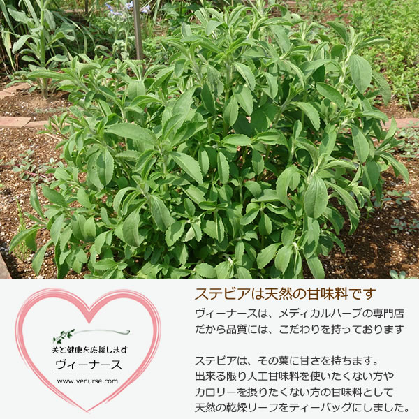 ステビアは天然の甘味料。人口の甘味料を使いたくない方におすすめです｜美と健康のヴィーナース