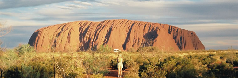 有限会社サンドラ 健康と元気をお届けします